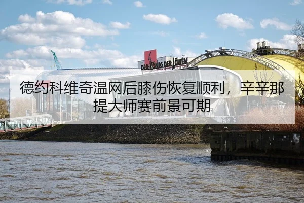 de-yue-ke-wei-qi-wen-wang-hou-xi-shang-hui-fu-shun-li-xin-xin-na-ti-da-shi-sai-qian-jing-ke-qi-3-269.jpg